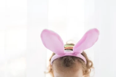 Rabbity hair clip