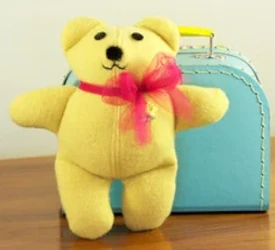 Teddy doll